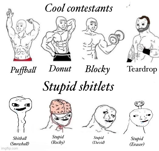 X in the Past vs. X Now | Cool contestants; Teardrop; Donut; Blocky; Puffball; Stupid shitlets; Stupid
(Rocky); Stupid
(David); Shitball (Snowball); Stupid
(Eraser) | image tagged in x in the past vs x now | made w/ Imgflip meme maker