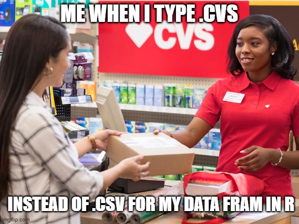 .csv | ME WHEN I TYPE .CVS; INSTEAD OF .CSV FOR MY DATA FRAM IN R | image tagged in stats,rstudio | made w/ Imgflip meme maker