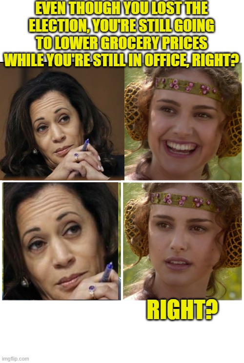 Maybe four years wasn't enough time to get it done | EVEN THOUGH YOU LOST THE ELECTION, YOU'RE STILL GOING TO LOWER GROCERY PRICES WHILE YOU'RE STILL IN OFFICE, RIGHT? RIGHT? | image tagged in anakin padme 4 panel,political meme,kamala harris,inflation | made w/ Imgflip meme maker