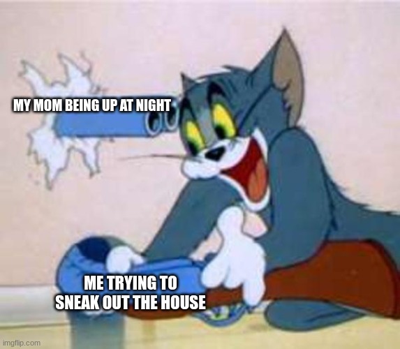 sneak 0 | MY MOM BEING UP AT NIGHT; ME TRYING TO SNEAK OUT THE HOUSE | image tagged in tom the cat shooting himself | made w/ Imgflip meme maker