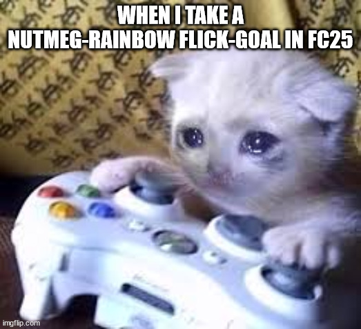 When i play in FC25 online | WHEN I TAKE A NUTMEG-RAINBOW FLICK-GOAL IN FC25 | image tagged in cat,gaming,fifa,xbox | made w/ Imgflip meme maker