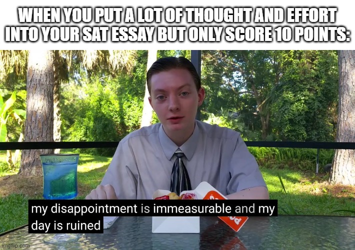 *sad trombone* | WHEN YOU PUT A LOT OF THOUGHT AND EFFORT INTO YOUR SAT ESSAY BUT ONLY SCORE 10 POINTS: | image tagged in memes,my disappointment is immeasurable,essay,score,relatable,true story | made w/ Imgflip meme maker