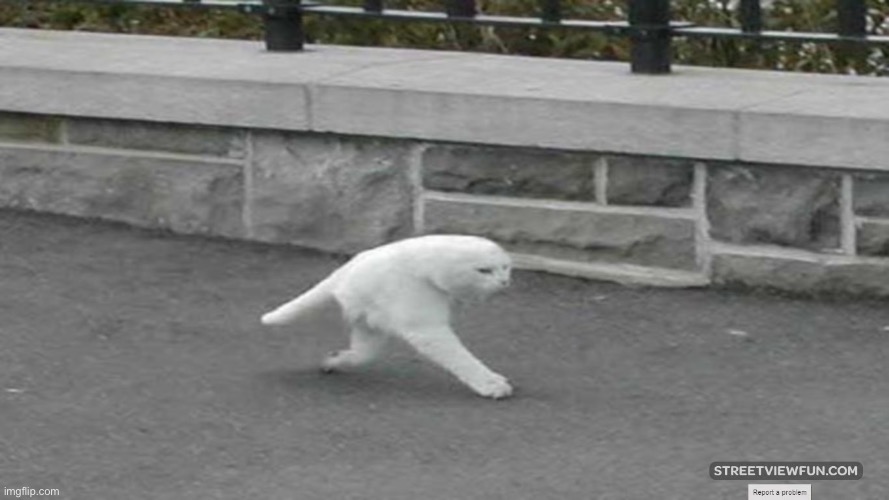 Walking down the Street | image tagged in walking down the street | made w/ Imgflip meme maker