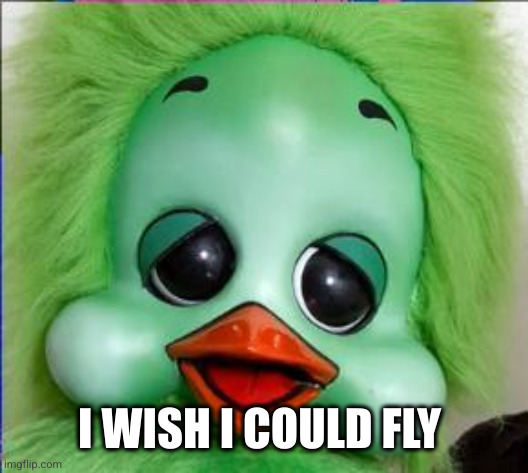 orville | I WISH I COULD FLY | image tagged in orville | made w/ Imgflip meme maker