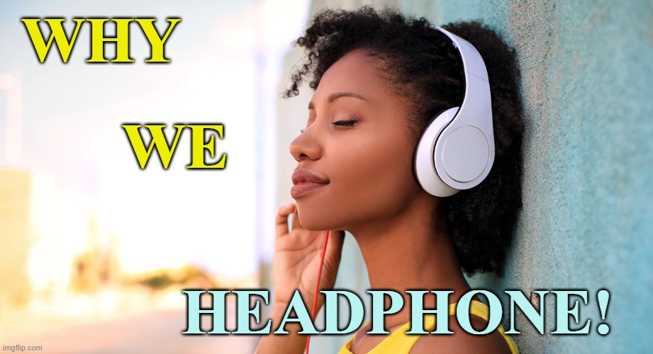 music to my ears | WHY WE HEADPHONE! | image tagged in music to my ears | made w/ Imgflip meme maker