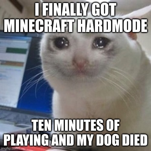 crycry | I FINALLY GOT MINECRAFT HARDMODE; TEN MINUTES OF PLAYING AND MY DOG DIED | image tagged in crying cat | made w/ Imgflip meme maker