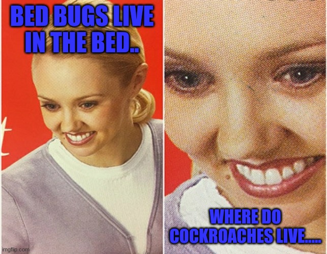 ? | BED BUGS LIVE IN THE BED.. WHERE DO COCKROACHES LIVE..... | image tagged in wait what,cockroaches,funny,oh no,bedbugs,disturbing | made w/ Imgflip meme maker