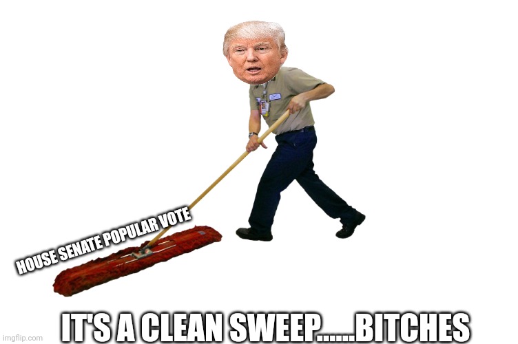 Time to take out the trash | HOUSE SENATE POPULAR VOTE; IT'S A CLEAN SWEEP......BITCHES | image tagged in man sweeping | made w/ Imgflip meme maker