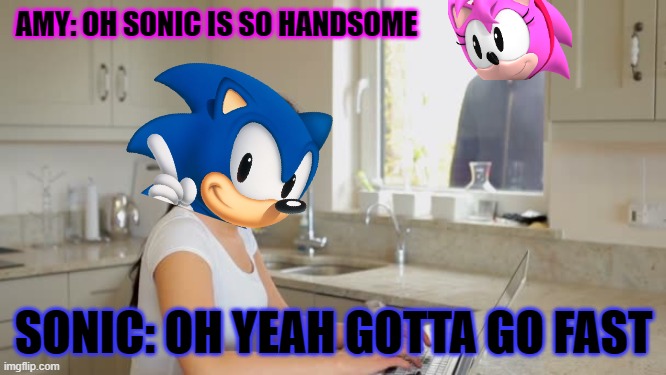 amy in older sonic games | AMY: OH SONIC IS SO HANDSOME; SONIC: OH YEAH GOTTA GO FAST | image tagged in stalker | made w/ Imgflip meme maker