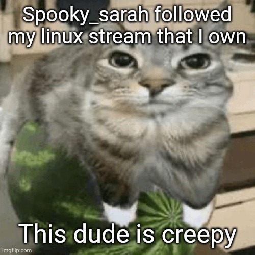 I am a minor. (I am 14) | Spooky_sarah followed my linux stream that I own; This dude is creepy | image tagged in cat on melon | made w/ Imgflip meme maker