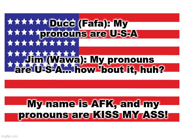 Ducc (Fafa): My pronouns are U-S-A; Jim (Wawa): My pronouns are U-S-A... how 'bout it, huh? My name is AFK, and my pronouns are KISS MY ASS! | made w/ Imgflip meme maker