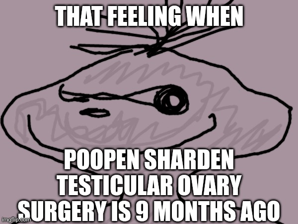 THAT FEELING WHEN; POOPEN SHARDEN TESTICULAR OVARY SURGERY IS 9 MONTHS AGO | made w/ Imgflip meme maker
