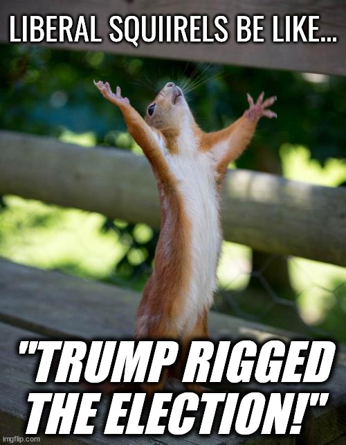 LIberal Squirrel | LIBERAL SQUIIRELS BE LIKE... "TRUMP RIGGED THE ELECTION!" | image tagged in amen squirrel,rigged elections,squirrel,butthurt liberals,us election,trump | made w/ Imgflip meme maker