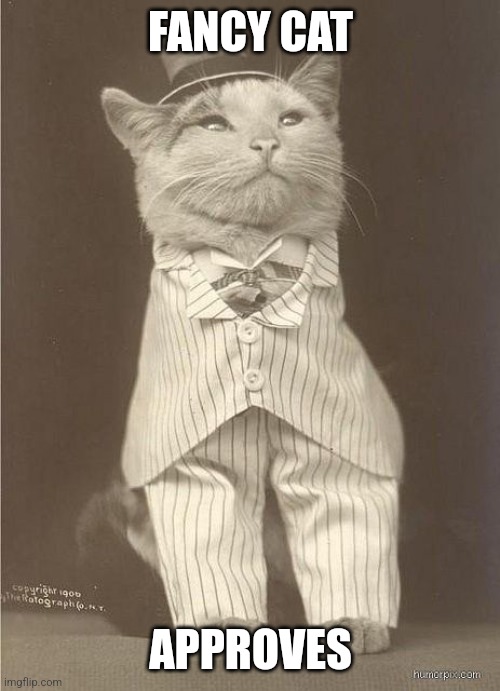 Fancy Cat | FANCY CAT APPROVES | image tagged in fancy cat | made w/ Imgflip meme maker