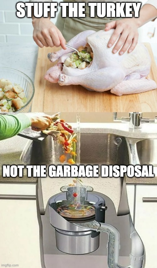 Stuffing the turkey | STUFF THE TURKEY; NOT THE GARBAGE DISPOSAL | image tagged in turkey,plumbing | made w/ Imgflip meme maker