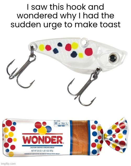 Makes Me Wonder | I saw this hook and wondered why I had the sudden urge to make toast | image tagged in funny memes,wonder bread,fish hook | made w/ Imgflip meme maker