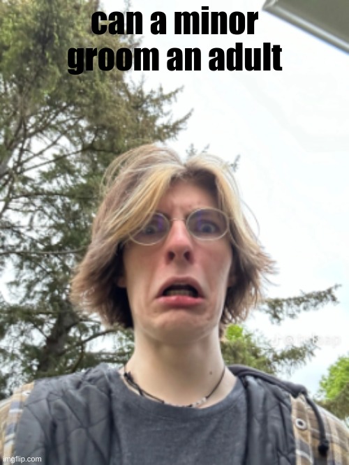 Man disgusted | can a minor groom an adult | image tagged in man disgusted | made w/ Imgflip meme maker