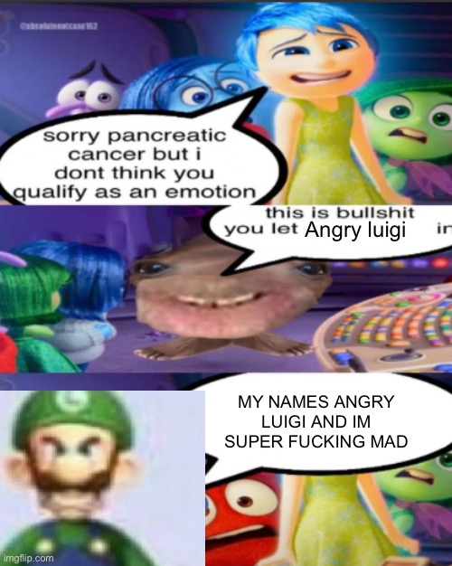 sorry pancreatic cancer but I don’t think you qualify as an emot | Angry luigi MY NAMES ANGRY LUIGI AND IM SUPER FUCKING MAD | image tagged in sorry pancreatic cancer but i don t think you qualify as an emot | made w/ Imgflip meme maker