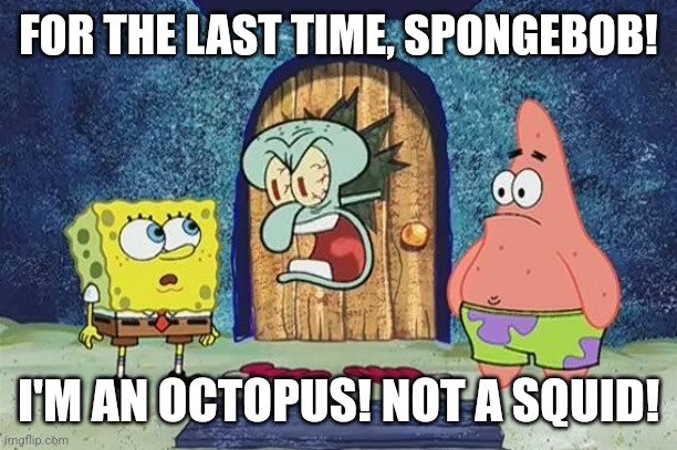 Raging Squidward | FOR THE LAST TIME, SPONGEBOB! I'M AN OCTOPUS! NOT A SQUID! | image tagged in raging squidward,memes | made w/ Imgflip meme maker