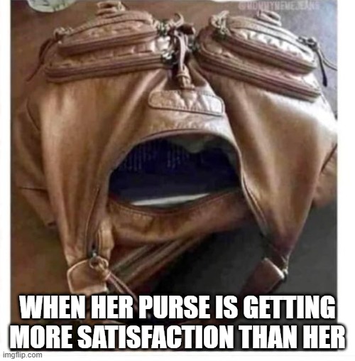 Happy Purse | WHEN HER PURSE IS GETTING MORE SATISFACTION THAN HER | image tagged in sex jokes | made w/ Imgflip meme maker