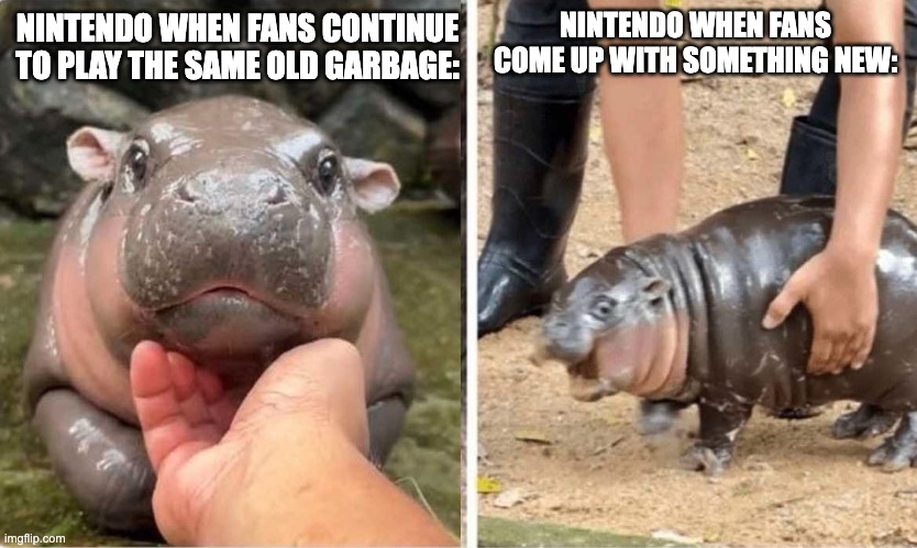 Moo Deng | NINTENDO WHEN FANS COME UP WITH SOMETHING NEW:; NINTENDO WHEN FANS CONTINUE TO PLAY THE SAME OLD GARBAGE: | image tagged in moo deng,memes,funny,nintendo,relatable,oh wow are you actually reading these tags | made w/ Imgflip meme maker