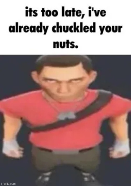 i've already chuckled your nuts | image tagged in i've already chuckled your nuts | made w/ Imgflip meme maker