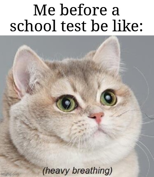 Me when school tests | Me before a school test be like: | image tagged in memes,heavy breathing cat,school,funny | made w/ Imgflip meme maker