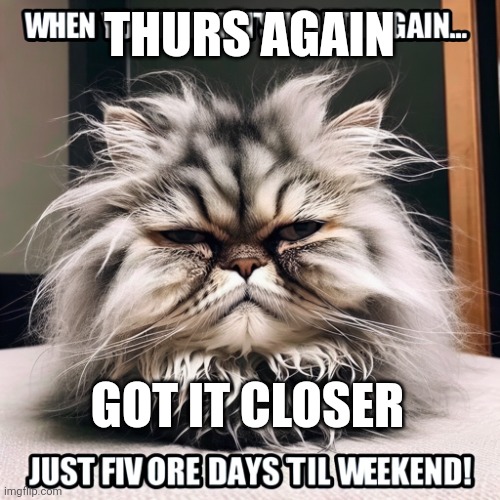 The meme features a picture of a grumpy cat with its fur ruffled | THURS AGAIN; GOT IT CLOSER | image tagged in the meme features a picture of a grumpy cat with its fur ruffled | made w/ Imgflip meme maker