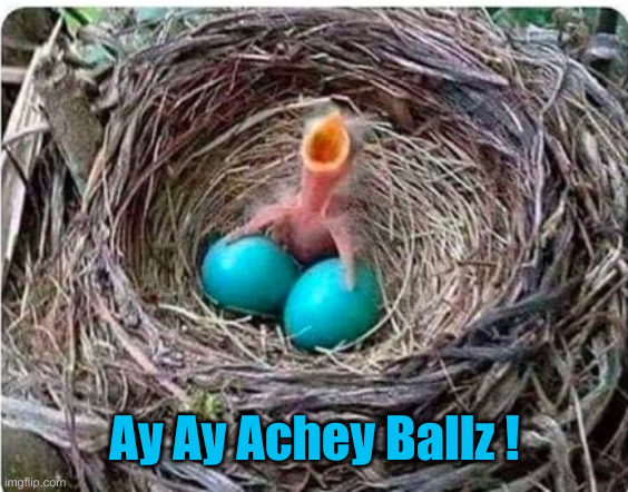 Blue-balls Scream | Ay Ay Achey Ballz ! | image tagged in blue-balls scream | made w/ Imgflip meme maker