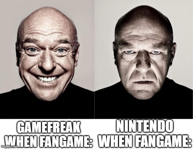 breaking bad smile frown | GAMEFREAK WHEN FANGAME:; NINTENDO WHEN FANGAME: | image tagged in breaking bad smile frown,fangame,nintendo,copyright,nintendo switch cartridge case | made w/ Imgflip meme maker