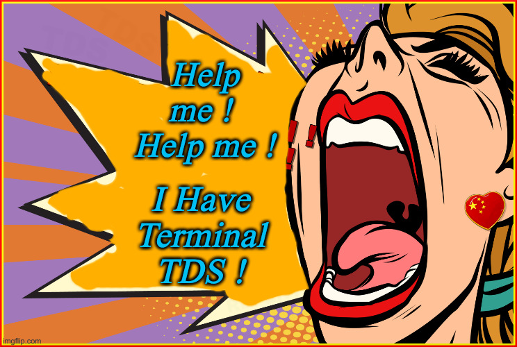 TDS - YELLER | Help me ! 
Help me ! I Have Terminal TDS ! | image tagged in tds - yeller | made w/ Imgflip meme maker