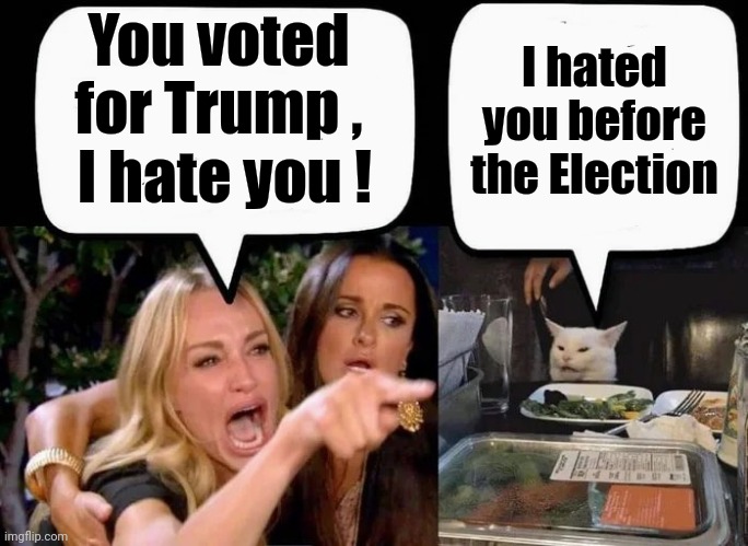 Whiny Little Commies | You voted for Trump ,
 I hate you ! I hated you before the Election | image tagged in don't eat the cat,trump derangement syndrome,mental illness,party of hate,america last,spoiled brats | made w/ Imgflip meme maker