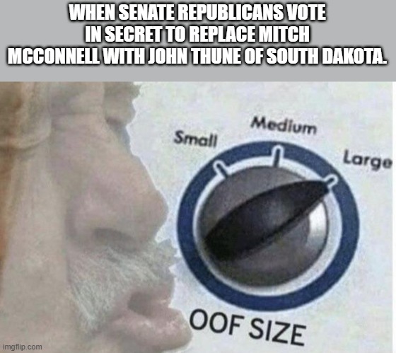 Mitch Mcconnell 2.0 | WHEN SENATE REPUBLICANS VOTE IN SECRET TO REPLACE MITCH MCCONNELL WITH JOHN THUNE OF SOUTH DAKOTA. | image tagged in oof size large,rino,republicans,mitch mcconnell | made w/ Imgflip meme maker