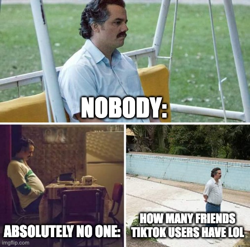 i stg they have no friends | NOBODY:; ABSOLUTELY NO ONE:; HOW MANY FRIENDS TIKTOK USERS HAVE LOL | image tagged in memes,sad pablo escobar,relatable memes,nobody absolutely no one,friends | made w/ Imgflip meme maker