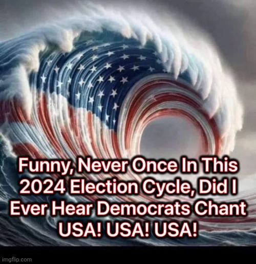 They're leaving soon , I hope | image tagged in democrats,democratting,traitors,american politics,get over it | made w/ Imgflip meme maker