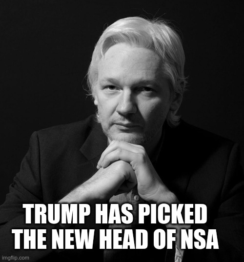 Finally a good choice! | TRUMP HAS PICKED THE NEW HEAD OF NSA | image tagged in julian assange nike | made w/ Imgflip meme maker