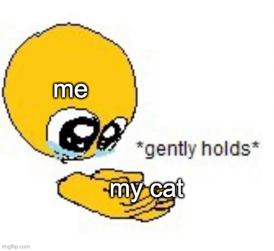 what did the little fluff do to deserve such bad seizures bro :( | me; my cat | image tagged in gently holds emoji | made w/ Imgflip meme maker