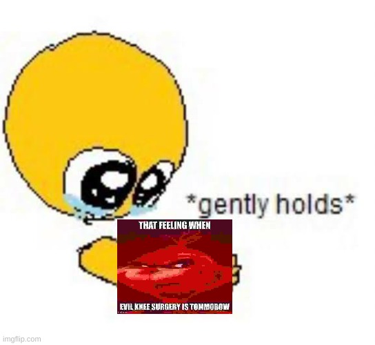 Gently holds emoji | image tagged in gently holds emoji | made w/ Imgflip meme maker