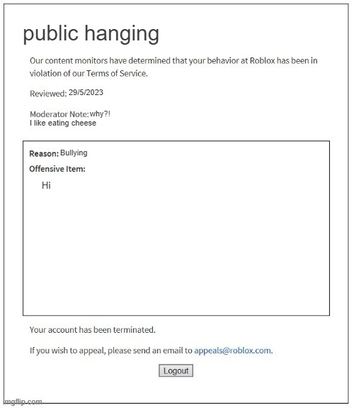 Moderation System | public hanging; 29/5/2023; why?! I like eating cheese; Bullying; Hi | image tagged in moderation system | made w/ Imgflip meme maker