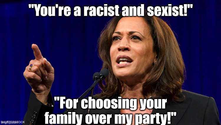 Democrats, you were not obliterated in the elections by accident. You deserved to lose! | "You're a racist and sexist!"; "For choosing your family over my party!" | image tagged in kamala harris,lying,media lies,liberal logic,stupid people,failure | made w/ Imgflip meme maker