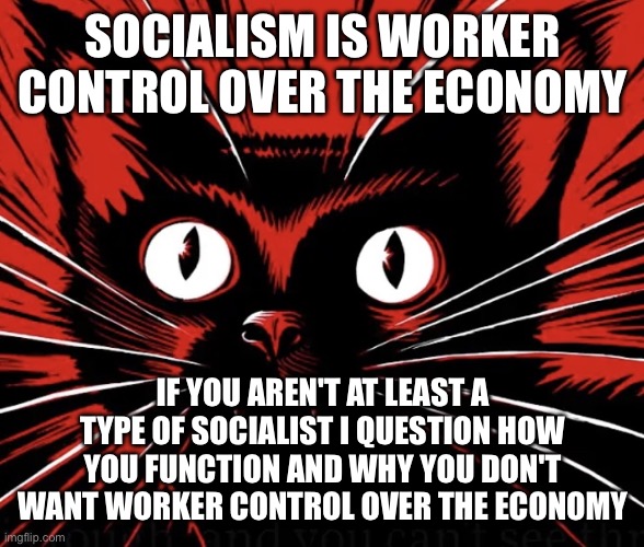 Why | SOCIALISM IS WORKER CONTROL OVER THE ECONOMY; IF YOU AREN'T AT LEAST A TYPE OF SOCIALIST I QUESTION HOW YOU FUNCTION AND WHY YOU DON'T WANT WORKER CONTROL OVER THE ECONOMY | image tagged in sabo tabby cat,socialism | made w/ Imgflip meme maker