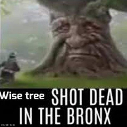 when men cried | image tagged in gifs,memes,funny,shitpost,wise tree,chicago | made w/ Imgflip meme maker