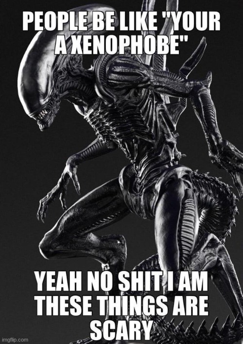 shit scary | image tagged in gifs,memes,funny,xenomorph,shitpost,offensive | made w/ Imgflip meme maker