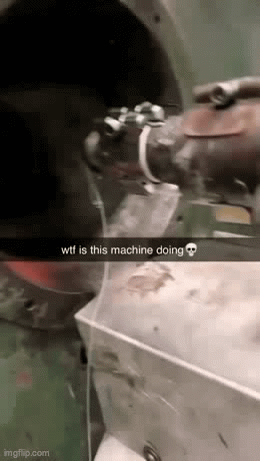 Animated GIF - Imgflip