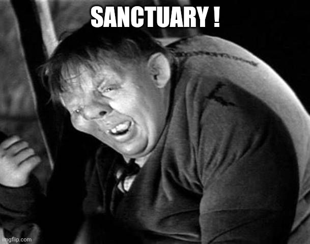 Hunchback | SANCTUARY ! | image tagged in hunchback | made w/ Imgflip meme maker