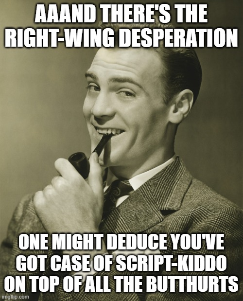 Smug | AAAND THERE'S THE RIGHT-WING DESPERATION ONE MIGHT DEDUCE YOU'VE GOT CASE OF SCRIPT-KIDDO ON TOP OF ALL THE BUTTHURTS | image tagged in smug | made w/ Imgflip meme maker