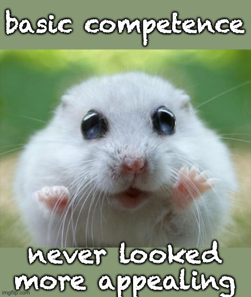 Hamster cute | basic competence never looked more appealing | image tagged in hamster cute | made w/ Imgflip meme maker