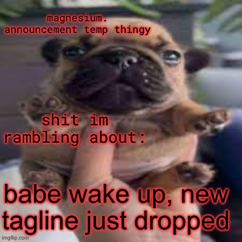 pug temp | babe wake up, new tagline just dropped | image tagged in pug temp | made w/ Imgflip meme maker