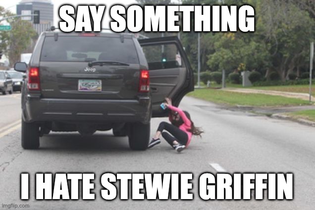 Nobody Should Hate Stewie | SAY SOMETHING; I HATE STEWIE GRIFFIN | image tagged in kicked out of car | made w/ Imgflip meme maker