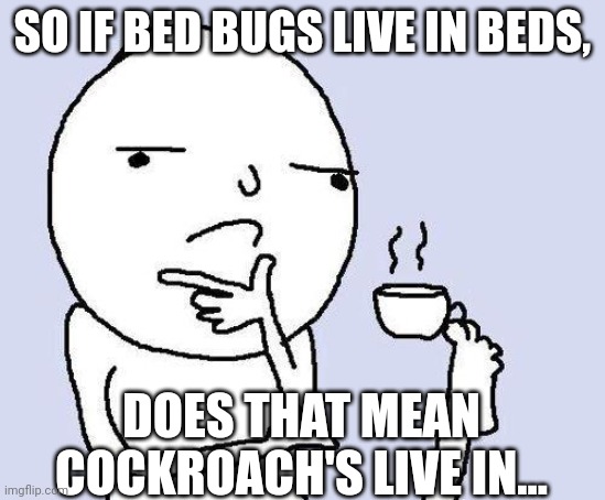 thinking meme | SO IF BED BUGS LIVE IN BEDS, DOES THAT MEAN COCKROACH'S LIVE IN... | image tagged in thinking meme | made w/ Imgflip meme maker